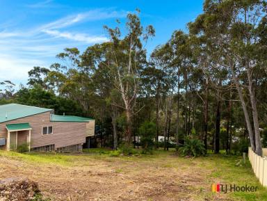 Residential Block For Sale - NSW - Catalina - 2536 - Build Your Dream Home - Cleared 666sqm block with leafy reserve outlook  (Image 2)