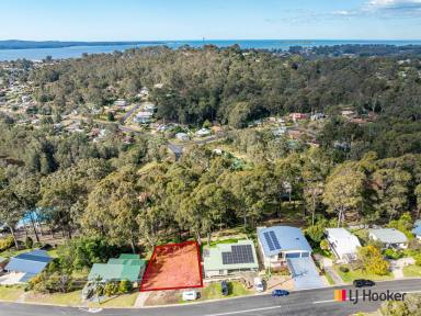 Residential Block For Sale - NSW - Catalina - 2536 - Build Your Dream Home - Cleared 666sqm block with leafy reserve outlook  (Image 2)
