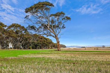 Lifestyle For Sale - VIC - Maude - 3331 - Golden Opportunity In Prime Rural Heartland  (Image 2)