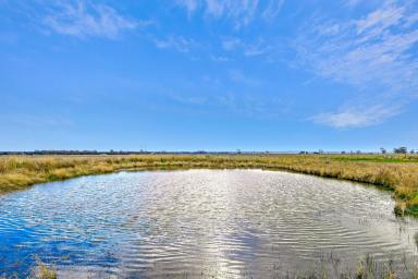 Lifestyle For Sale - VIC - Maude - 3331 - Golden Opportunity In Prime Rural Heartland  (Image 2)
