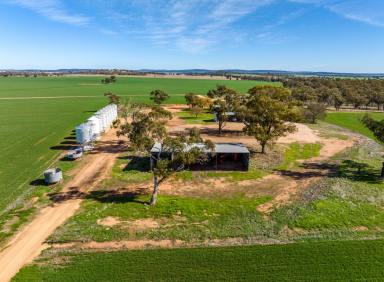 Cropping Tender - NSW - Beckom - 2665 - Dual Purpose Opportunity  (Image 2)