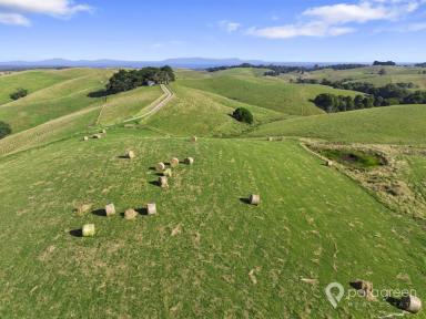 Residential Block For Sale - VIC - Foster North - 3960 - 10 ACRES WITH PLANNING PERMIT & AMAZING PROM VIEWS  (Image 2)