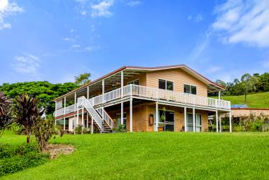 House For Sale - QLD - Cooroy - 4563 - Noosa Hinterland Horse Property - 21 Acres with Panoramic Views  (Image 2)