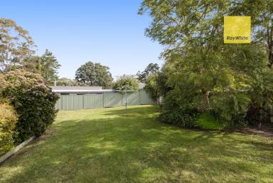 House For Sale - WA - Pemberton - 6260 - Charming Brick Home in a Prime Pemberton Location  (Image 2)