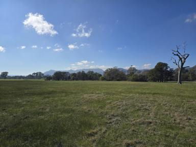 Mixed Farming For Sale - VIC - Mooralla - 3314 - Farming block with Grampians views  (Image 2)