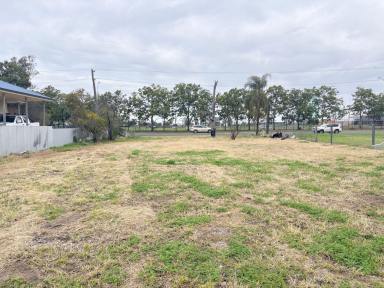 Residential Block For Sale - NSW - Moree - 2400 - LARGE 1315M2 BUILDING BLOCK  (Image 2)