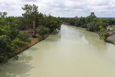 Residential Block For Sale - NSW - Wentworth - 2648 - THE MOST AFFORDABLE RIVERFRONT PROPERTY IN THE DISTRICT  (Image 2)