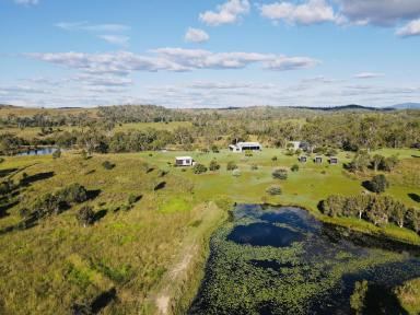 Livestock For Sale - QLD - Good Night - 4671 - OFFGRID / STUNNING LIFESTYLE ACREAGE / COMPLETE WIWO PACKAGE  (Image 2)