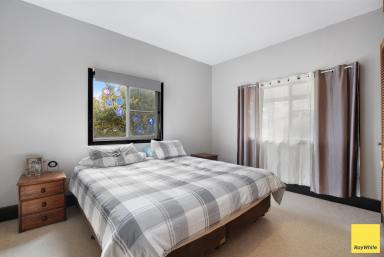 House For Sale - NSW - Dorrigo - 2453 - Charming elevated home with plateau views - loads of potential!  (Image 2)