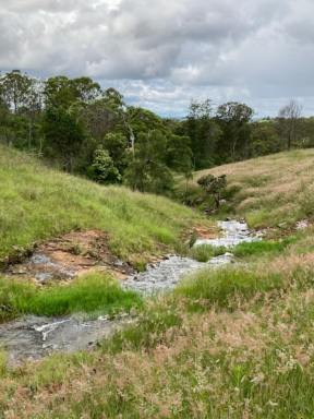 Livestock For Sale - QLD - Plainby - 4355 - Scrub block, 180acres, two titles, magnificent views, bore, yards, and dams.  (Image 2)