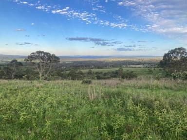 Livestock For Sale - QLD - Crows Nest - 4355 - Scrub block, 180acres, two titles, magnificent views, bore, yards, and dams. (Image 2)