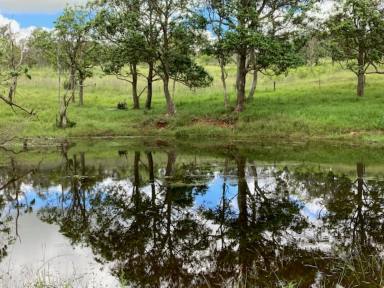 Livestock For Sale - QLD - Crows Nest - 4355 - Scrub block, 180acres, two titles, magnificent views, bore, yards, and dams.  (Image 2)