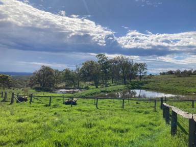 Livestock For Sale - QLD - Plainby - 4355 - Scrub block, 180acres, two titles, magnificent views, bore, yards, and dams.  (Image 2)