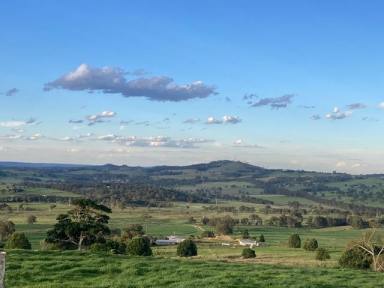 Livestock For Sale - QLD - Crows Nest - 4355 - Scrub block, 180acres, two titles, magnificent views, bore, yards, and dams. (Image 2)