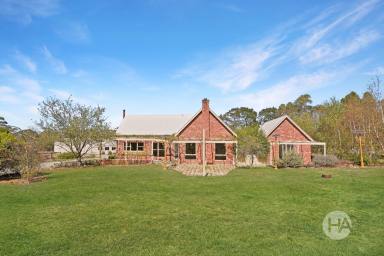 Acreage/Semi-rural For Sale - VIC - Hastings - 3915 - Strategic Landbanking & Lifestyle Opportunity  (Image 2)