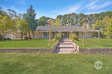 Acreage/Semi-rural For Sale - VIC - Hastings - 3915 - Luxury Lifestyle Meets Strategic Landbanking on the Peninsula  (Image 2)