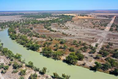 Residential Block For Sale - NSW - Wentworth - 2648 - THE MOST AFFORDABLE RIVERFRONT PROPERTY IN THE DISTRICT  (Image 2)