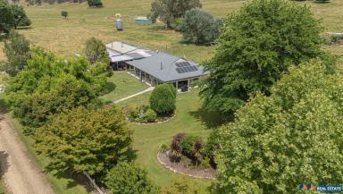 House For Sale - VIC - Myrtleford - 3737 - Private Home with Creek Frontage  (Image 2)