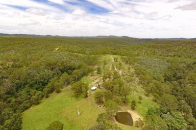 Livestock For Sale - QLD - Monto - 4630 - Low Cost Burnett River Grazing  (Image 2)
