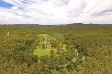 Livestock For Sale - QLD - Monto - 4630 - Low Cost Burnett River Grazing  (Image 2)