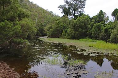 Lifestyle For Sale - QLD - Monto - 4630 - Burnett River Starter Block  (Image 2)