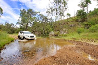 Mixed Farming For Sale - QLD - Monto - 4630 - Low Cost Burnett River Grazing  (Image 2)