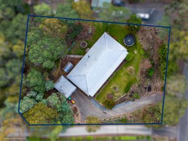 House For Sale - TAS - Blackstone Heights - 7250 - The Perfect Family Haven on Half an Acre  (Image 2)
