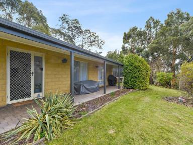 House For Sale - TAS - Blackstone Heights - 7250 - The Perfect Family Haven on Half an Acre  (Image 2)