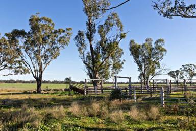 Other (Rural) For Sale - NSW - Terry Hie Hie - 2400 - Currgada, Terry Hie Hie  (Image 2)