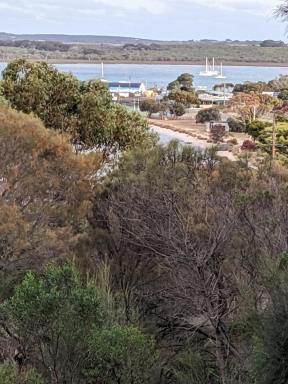 Residential Block For Sale - SA - American River - 5221 - American River (KI) building block (1220 m2), spectacular elevated bay views. Valuable rear access off Bayview Rd  (Image 2)