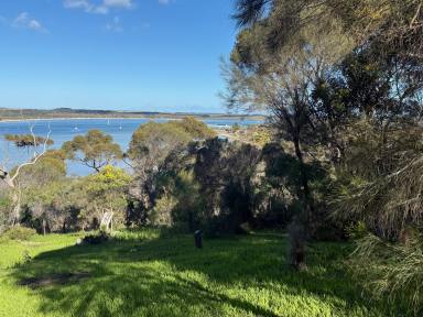 Residential Block For Sale - SA - American River - 5221 - American River (KI) building block (1220 m2), spectacular elevated bay views. Valuable rear access off Bayview Rd  (Image 2)