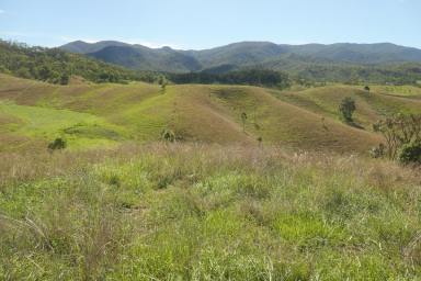 Lifestyle For Sale - NSW - Rocky River - 2372 - LAST BLOCK AVAILABLE OF THE NORTHERN LOTS  (Image 2)