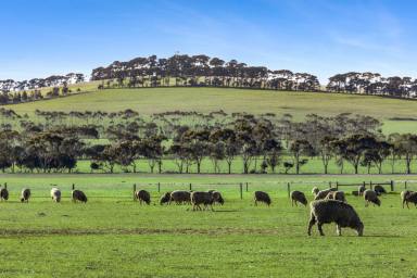 Mixed Farming For Sale - VIC - Mount Moriac - 3240 - Rare holding at the foot of Mount Moriac  (Image 2)