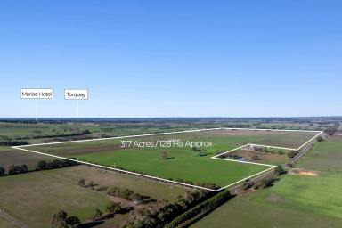 Mixed Farming For Sale - VIC - Mount Moriac - 3240 - Rare holding at the foot of Mount Moriac  (Image 2)