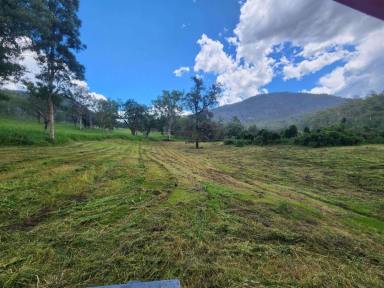 Lifestyle For Sale - NSW - Rocky River - 2372 - Ultimate Riverfront Lifestyle  (Image 2)