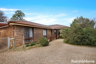 House Auction - NSW - Bowral - 2576 - Old Bowral Renovators Delight  (Image 2)