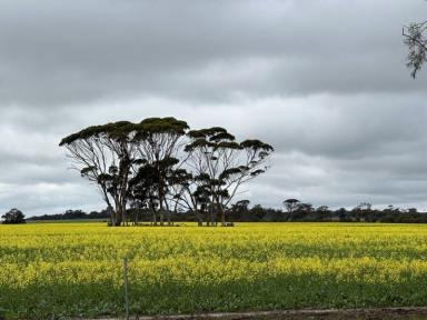 Residential Block For Sale - WA - Woodanilling - 6316 - Tranquil Corner Block with Paddock Views 1.5 Acres to Build Your Dream  (Image 2)