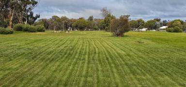 Residential Block For Sale - WA - Woodanilling - 6316 - Tranquil Corner Block with Paddock Views 1.5 Acres to Build Your Dream  (Image 2)