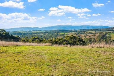 House Sold - VIC - Yellingbo - 3139 - AROUND 40 ACRES WITH EQUESTRIAN FACILITIES  (Image 2)