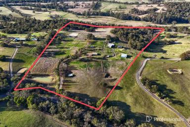 House Sold - VIC - Yellingbo - 3139 - AROUND 40 ACRES WITH EQUESTRIAN FACILITIES  (Image 2)