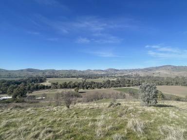 Residential Block For Sale - NSW - Gundagai - 2722 - Acre block with best views in town !  (Image 2)