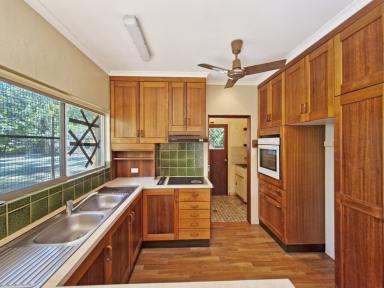 House For Sale - QLD - Tolga - 4882 - Private Hectare on Palomino Drive  (Image 2)