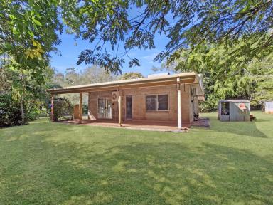 House For Sale - QLD - Tolga - 4882 - Private Hectare on Palomino Drive  (Image 2)
