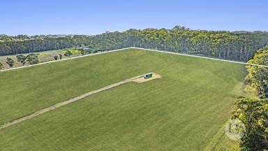 Acreage/Semi-rural For Sale - VIC - Red Hill - 3937 - Rare Vacant Acreage in Prime Red Hill Location  (Image 2)