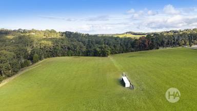 Acreage/Semi-rural For Sale - VIC - Red Hill - 3937 - Rare Vacant Acreage in Prime Red Hill Location  (Image 2)