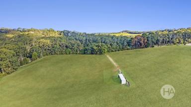 Acreage/Semi-rural For Sale - VIC - Red Hill - 3937 - Rare Vacant Acreage in Prime Red Hill Location  (Image 2)