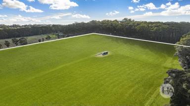 Acreage/Semi-rural For Sale - VIC - Red Hill - 3937 - Rare Vacant Acreage in Prime Red Hill Location  (Image 2)