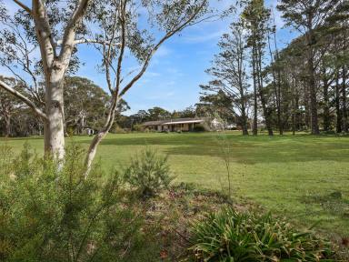 House For Sale - NSW - Bundanoon - 2578 - Space & Harmony on 5 Acres.  (Image 2)