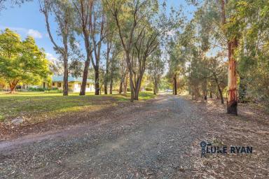 House For Sale - VIC - Rochester - 3561 - SCENIC RIVERSIDE LIVING ON A SPACIOUS 3601m² ALLOTMENT  (Image 2)
