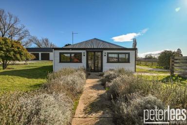 House For Sale - TAS - Campbell Town - 7210 - Pear Tree Cottage: Historic Charm with Room to Grow  (Image 2)